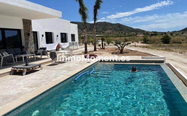 Bestaande woning - Vrijstaande villa - Pinoso - Pinoso Centro