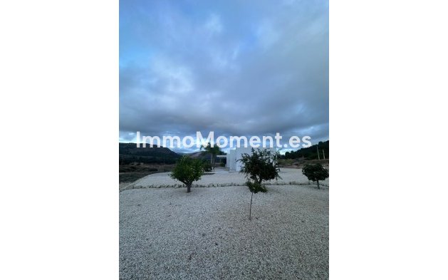 Bestaande woning - Vrijstaande villa - Pinoso - Pinoso Centro