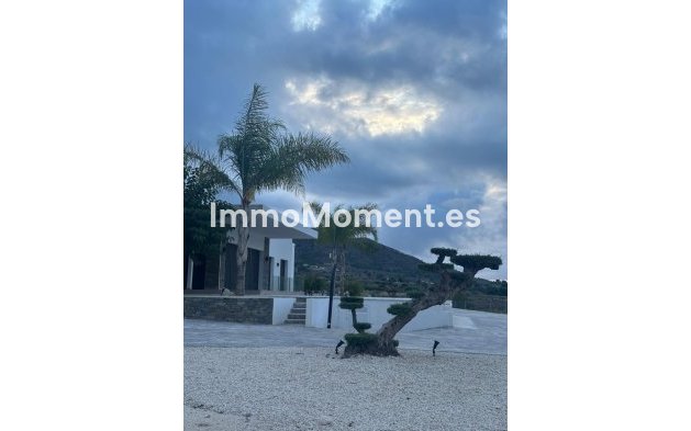 Bestaande woning - Vrijstaande villa - Pinoso - Pinoso Centro