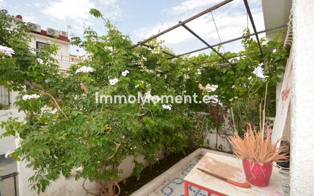 Revente - Villa individuelle - Torrevieja - Torrevieja Centro