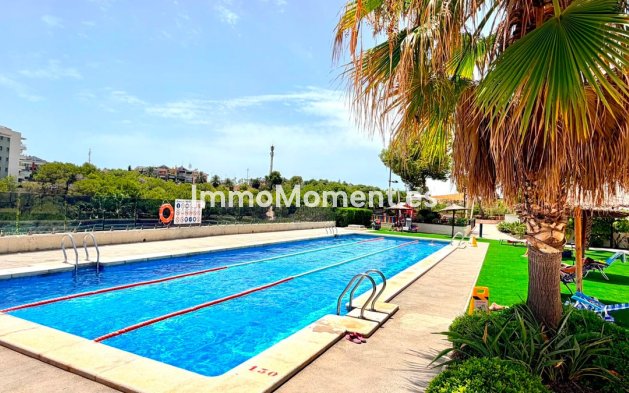 Wiederverkauf - Wohnung - Orihuela - Cabo roig - La Zenia
