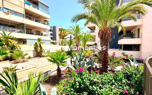 Wiederverkauf - Wohnung - Orihuela - Cabo roig - La Zenia