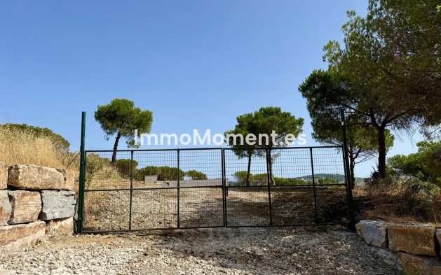Wiederverkauf - Grundstück - Sotogrande - Sotogrande Alto