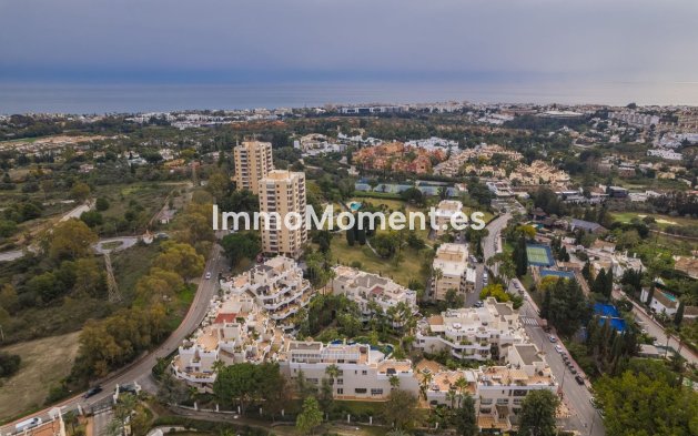 Resale - Apartment - Marbella - Nueva Andalucía