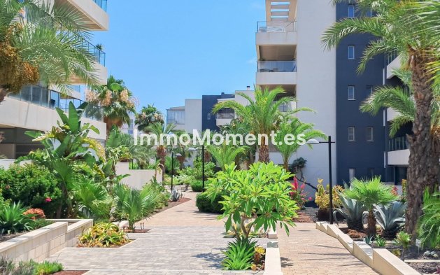 Revente - Appartement - Orihuela - Los Dolses
