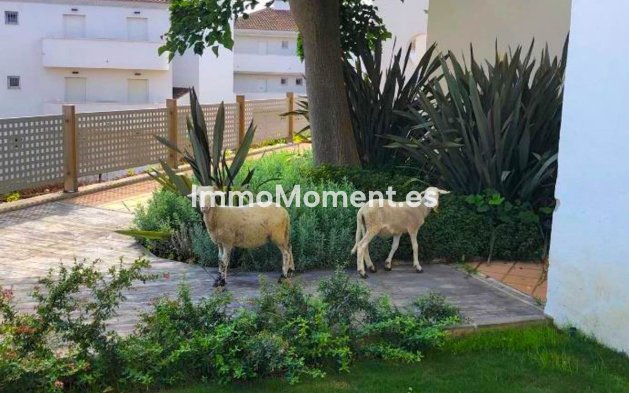 Bestaande woning - Appartement - Manilva - La Duquesa