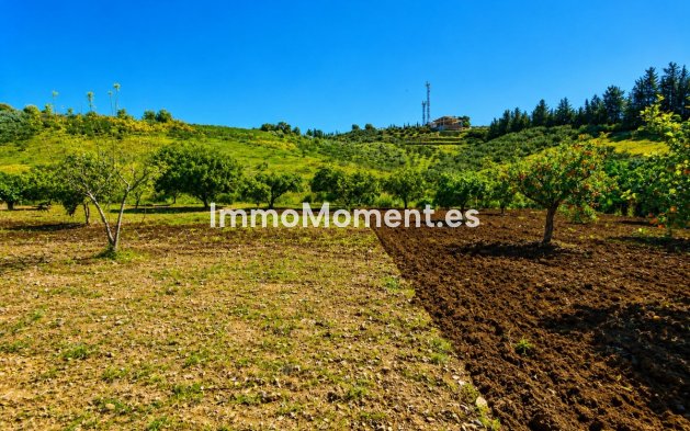 Bestaande woning - Landhuis - Estepona  - Estepona Centro