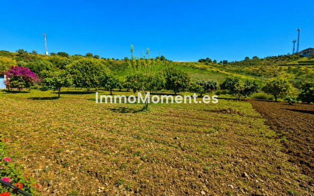 Bestaande woning - Landhuis - Estepona  - Estepona Centro