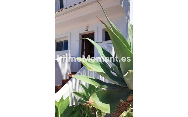 Revente - Maison mitoyenne - Estepona  - New Golden Mile