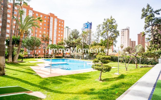 Resale - Apartment - Benidorm - Benidorm Centro