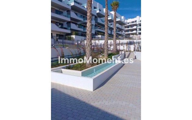 Reventa - Apartamento - Orihuela - Orihuela Centro
