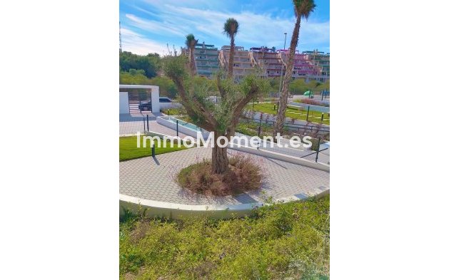 Reventa - Apartamento - Orihuela - Orihuela Centro