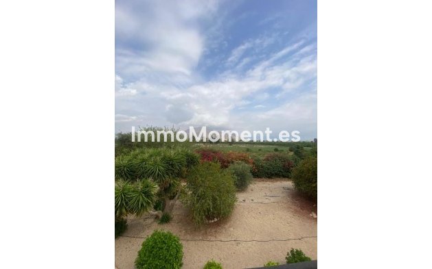 Reventa - Casa de campo - Orihuela - Orihuela Centro