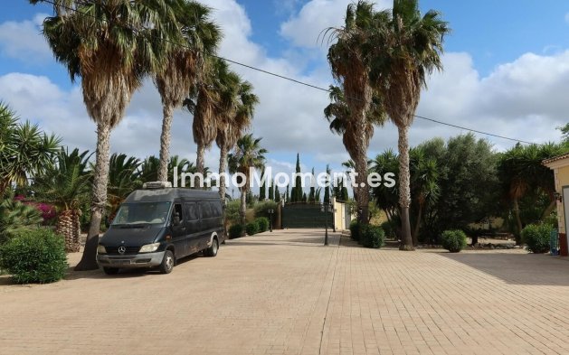 Reventa - Casa de campo - Orihuela - Orihuela Centro