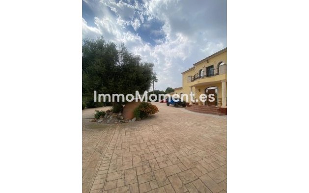 Reventa - Casa de campo - Orihuela - Orihuela Centro