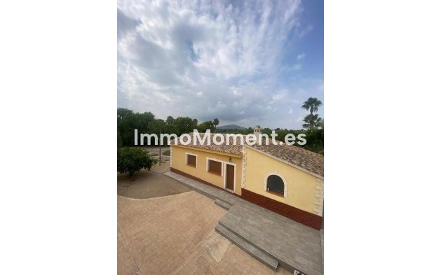 Reventa - Casa de campo - Orihuela - Orihuela Centro