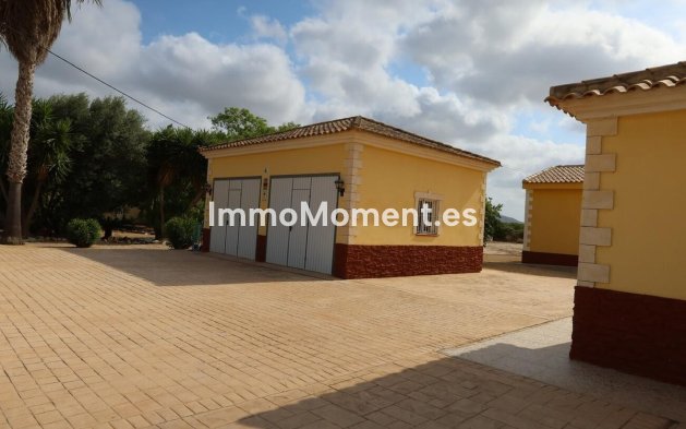Reventa - Casa de campo - Orihuela - Orihuela Centro