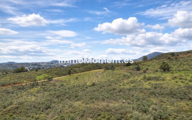 Wiederverkauf - Reihenhaus - Mijas - Mijas Golf