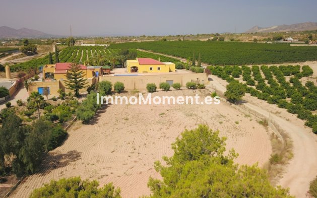 Reventa - Villa independiente - Albatera - Albatera Centro