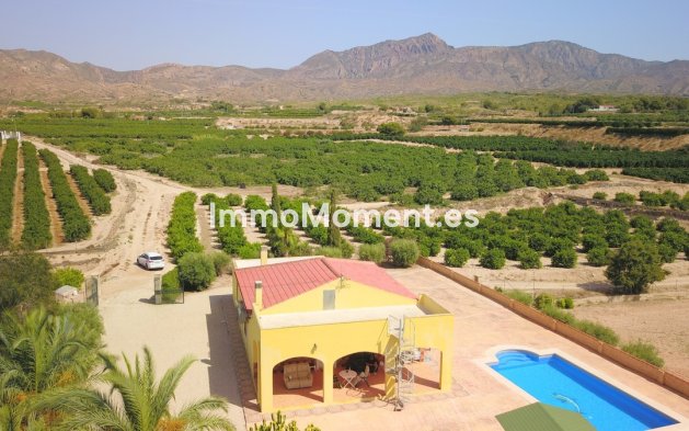 Reventa - Villa independiente - Albatera - Albatera Centro