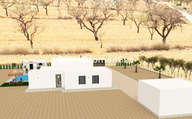 Construction neuve - Villa individuelle - Pinoso