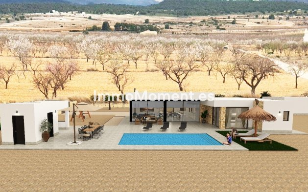 Construction neuve - Villa individuelle - Pinoso