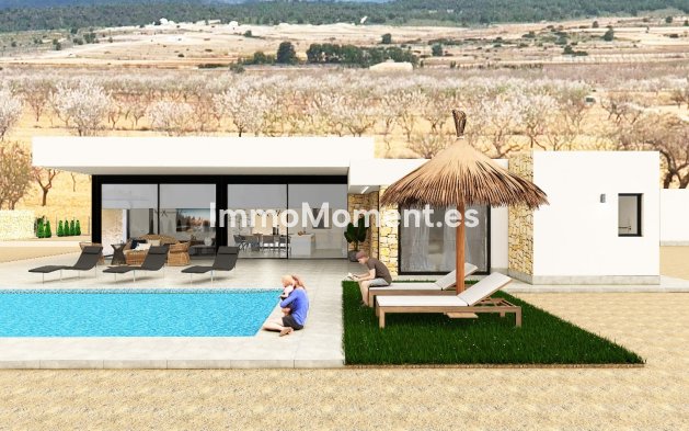 Construction neuve - Villa individuelle - Pinoso
