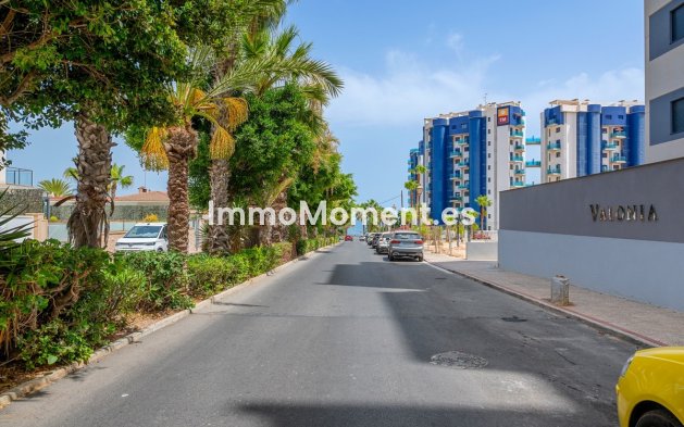 Wiederverkauf - Wohnung - Orihuela - Punta Prima