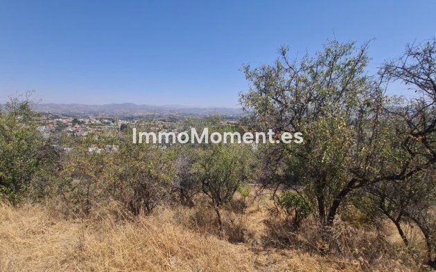 Reventa - Parcela - Interior  - Alhaurín de la Torre