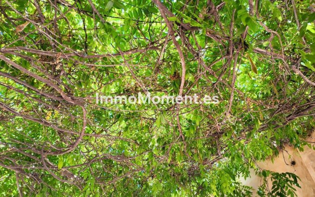 Resale - Detached villa - Inland  - Monda
