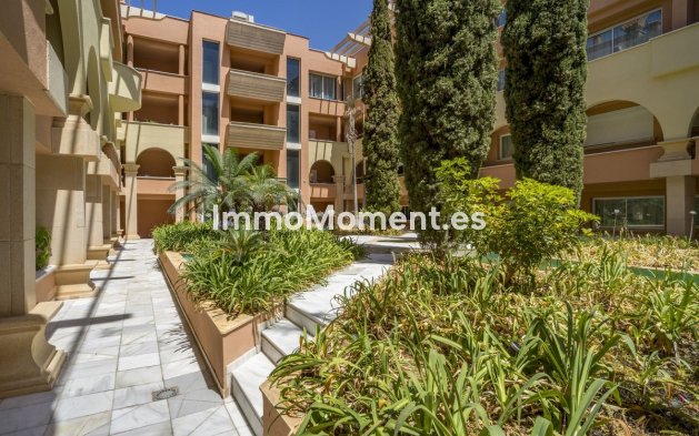 Wiederverkauf - Wohnung - Marbella - Nueva Andalucía