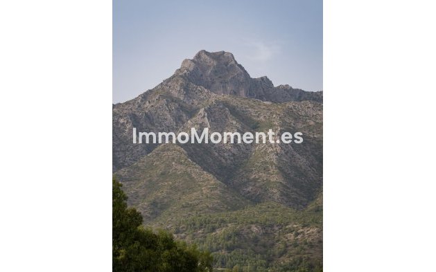 Resale - Detached villa - Marbella - Marbella Centro