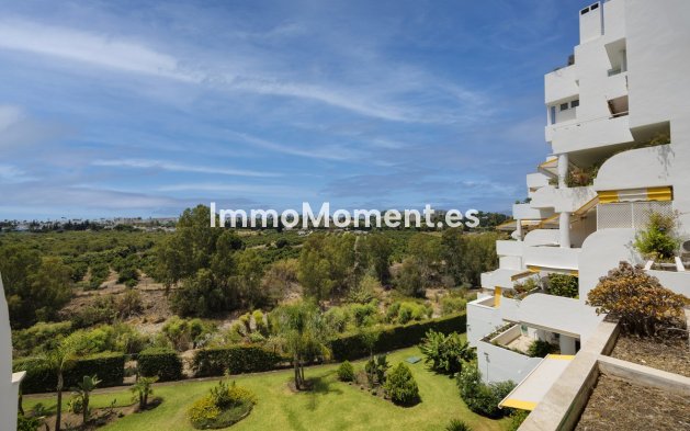 Wiederverkauf - Wohnung - Marbella - Guadalmina Alta