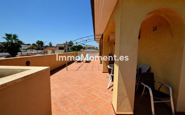 Wiederverkauf - Freistehende Villa - Torrevieja - Los Balcones - Los Altos del Edén
