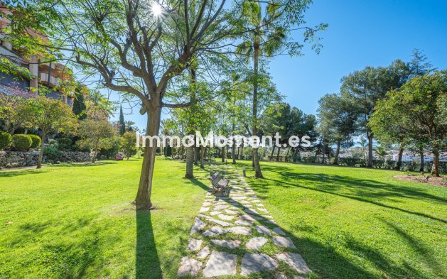 Wiederverkauf - Wohnung - Marbella - Nueva Andalucía